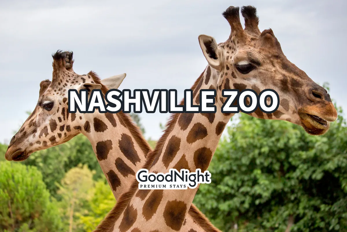 This exterior image features giraffes in a lush, green setting, capturing the excitement of animal encounters at the Nashville Zoo. Families can be imagined enjoying up-close wildlife experiences, reflecting educational and fun outings for all ages.